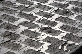 fragment (lavice) ~ 2006 ~ sliveneck vpenec  ~ 280 cm
