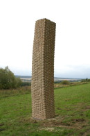 obelisk ~ 2008 ~ pskovec ~ 500 cm