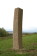 obelisk ~ 2008 ~ pskovec ~ 500 cm