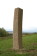 obelisk ~ 2008 ~ sandstone ~ 500 cm